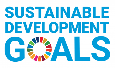 UN goals logo