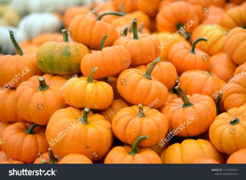 pumpkins