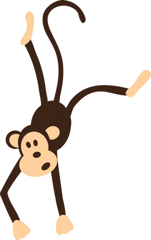 monkey