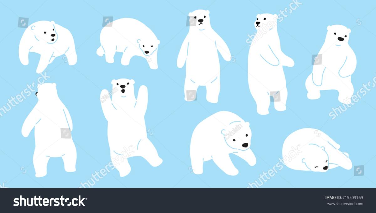 polar bears