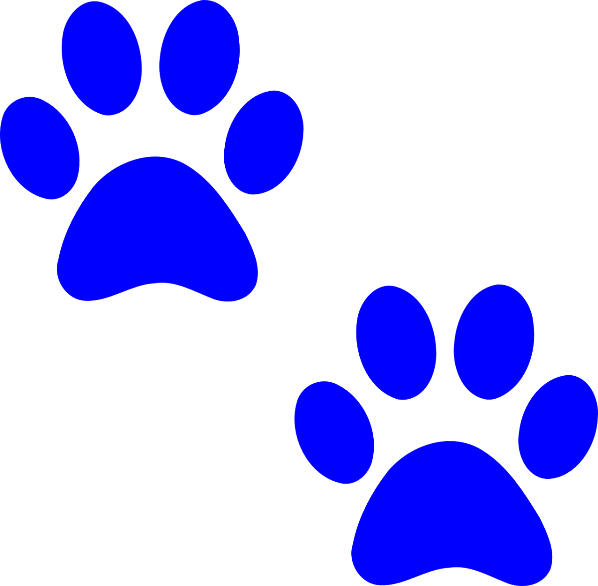 paw prints