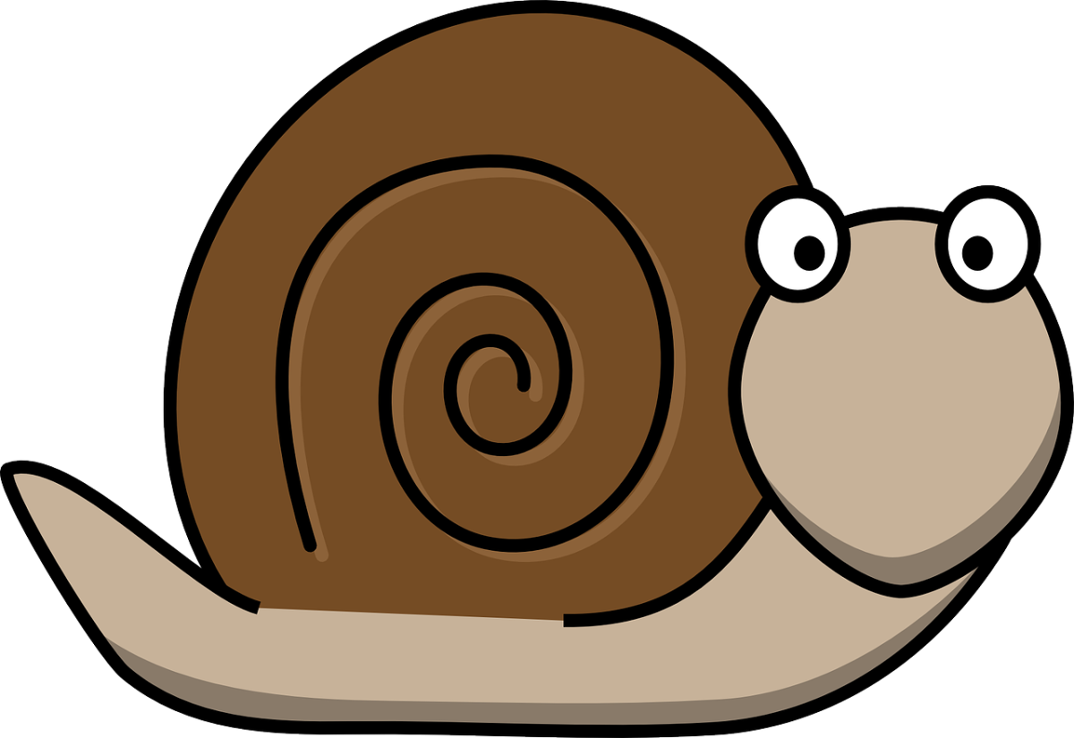 snail